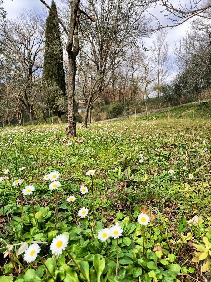 Locazione Turistica La Gesualda Daire Castelnuovo Magra Dış mekan fotoğraf