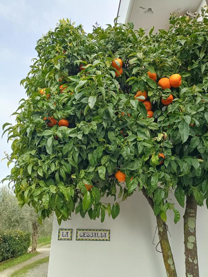 Locazione Turistica La Gesualda Daire Castelnuovo Magra Dış mekan fotoğraf