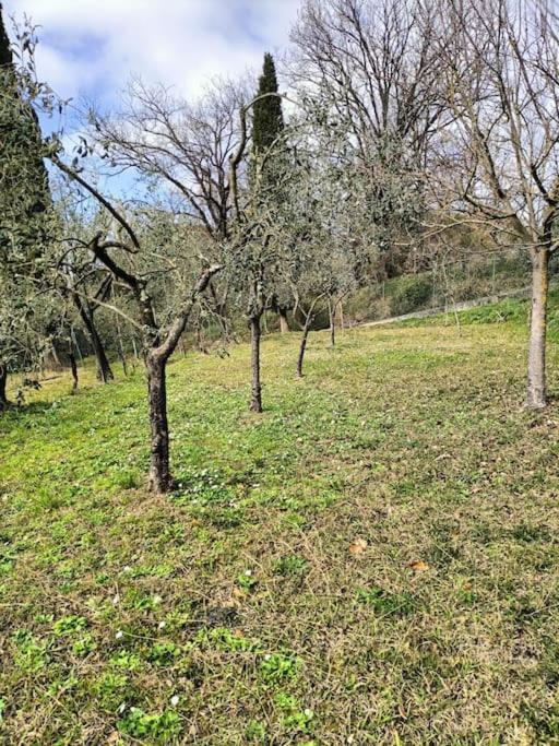 Locazione Turistica La Gesualda Daire Castelnuovo Magra Dış mekan fotoğraf