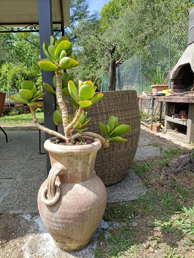 Locazione Turistica La Gesualda Daire Castelnuovo Magra Dış mekan fotoğraf
